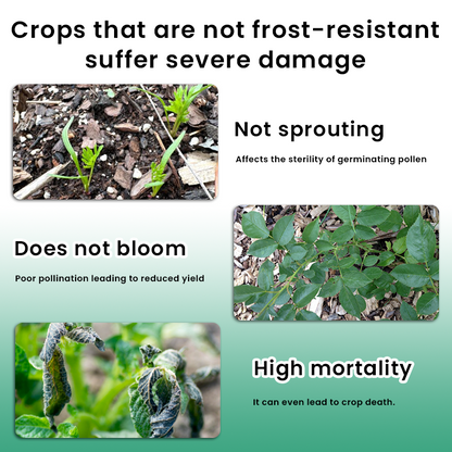 LIMETOW® Plant Antifreeze Powder – Powder that can be frost-protected with just a single sprinkle