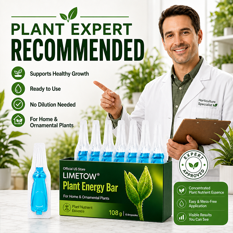 Official US Store  LIMETOW® Plant Energy Bar