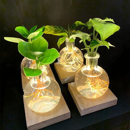 LIMETOW® LED Hydroponic Plant Vase – Where Living Greenery Meets Warm Ambient Light
