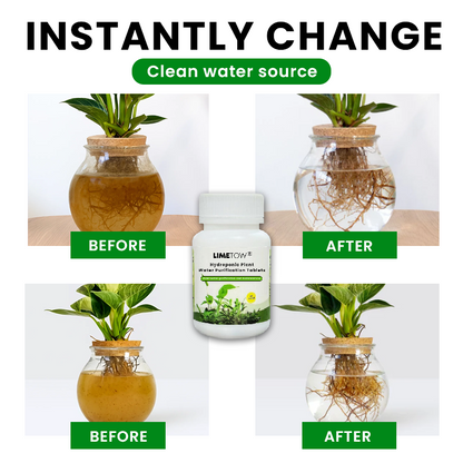 LIMETOW® Hydroponic Plant Water Purification Tablets