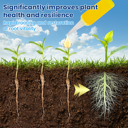 LIMETOW® Plant Teranry Regenerant