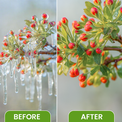 LIMETOW® Plant Antifreeze Spray