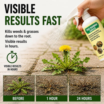 🌿 Fast-Acting Natural Weed & Grass Killer Spray