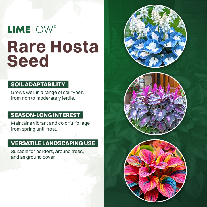 LIMETOW® Rare Hosta Seeds