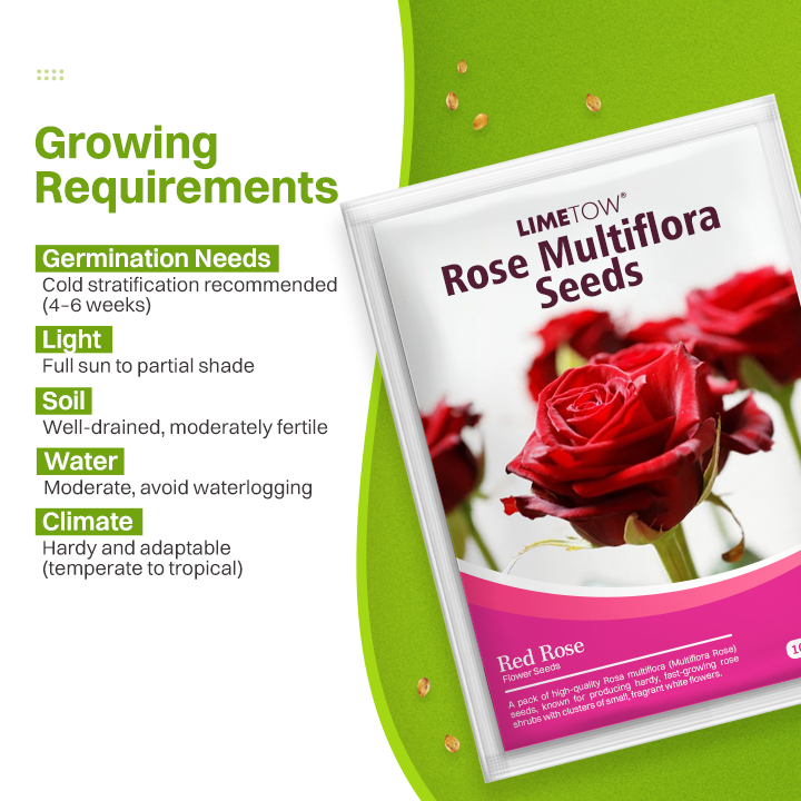 LIMETOW® Rose Multiflora Seeds