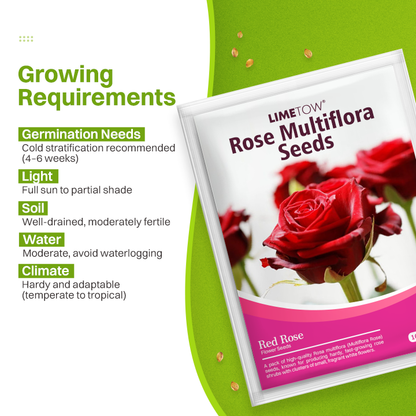 LIMETOW® Rose Multiflora Seeds