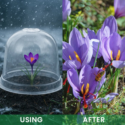 LIMETOW® Garden Seedling Cold Cover