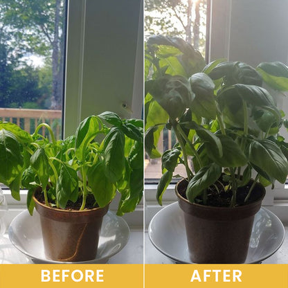 LIMETOW® Plant Vitality Booster