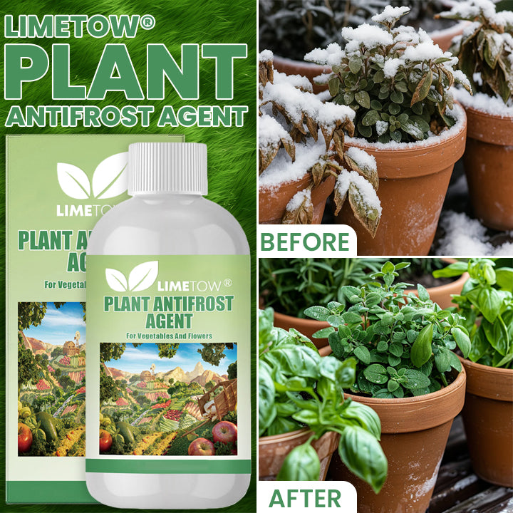 LIMETOW® Plant Antifrost Agent – The Only Frost Protection That Works Inside the Plant