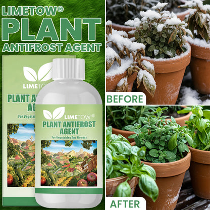LIMETOW® Plant Antifrost Agent – The Only Frost Protection That Works Inside the Plant