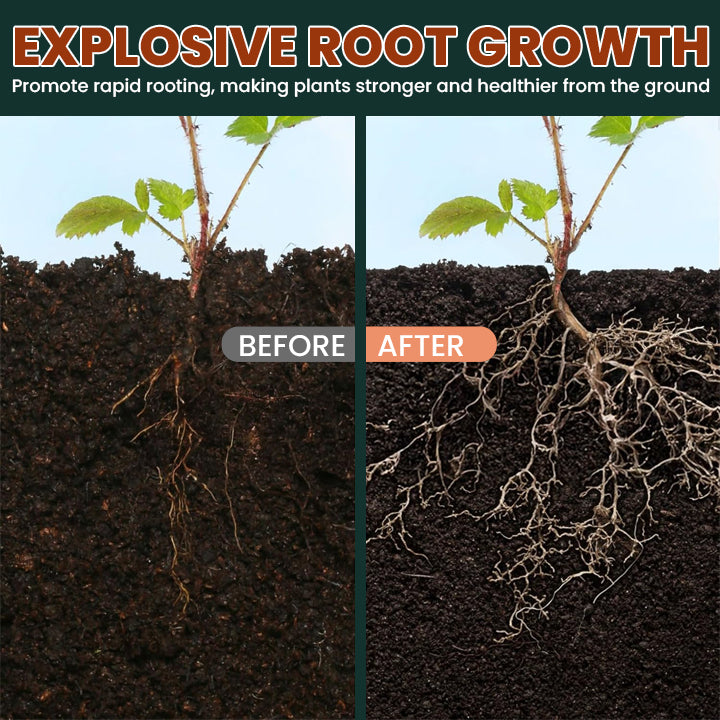 LIMETOW® Root Drops