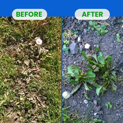 LIMETOW® Fluazifop-Butyl Herbicide