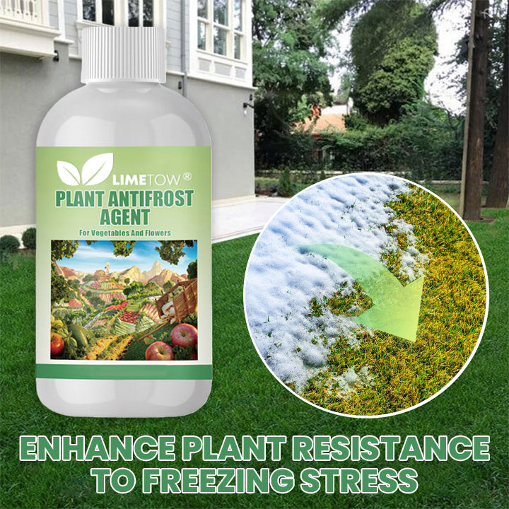 LIMETOW® Plant Antifrost Agent – The Only Frost Protection That Works Inside the Plant