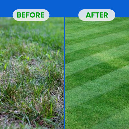 LIMETOW® Fluazifop-Butyl Herbicide