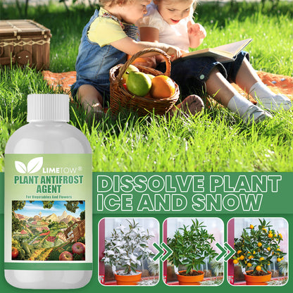 LIMETOW® Plant Antifrost Agent – The Only Frost Protection That Works Inside the Plant