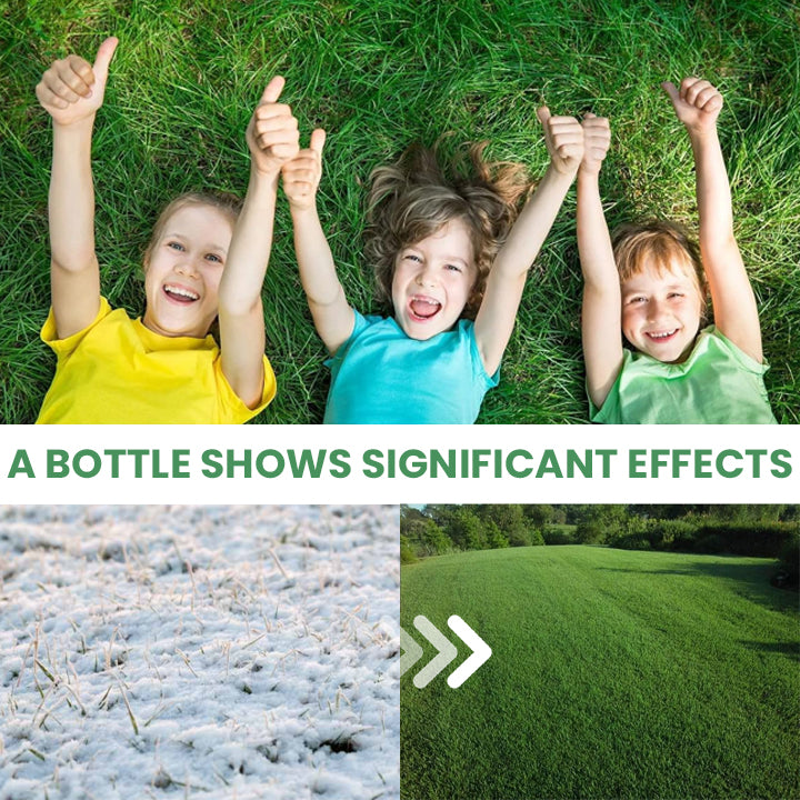LIMETOW® Plant Antifrost Agent – The Only Frost Protection That Works Inside the Plant