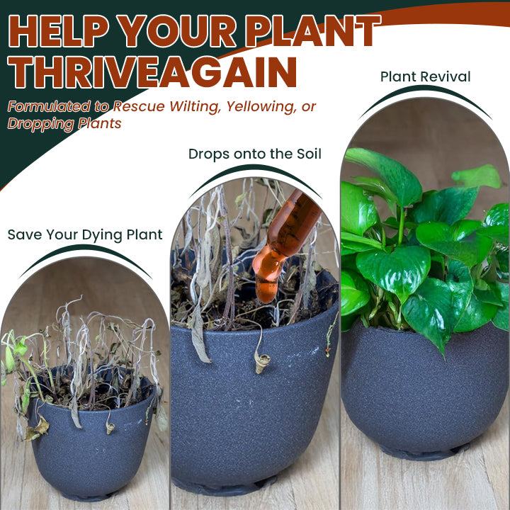 LIMETOW® Root Drops