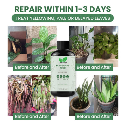 LIMETOW® House Plant Food