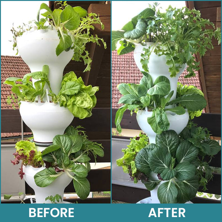 LIMETOW® Hydroponic Plant Nutrient Solution