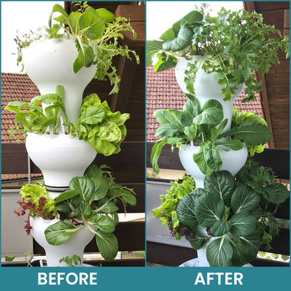 LIMETOW® Hydroponic Plant Nutrient Solution