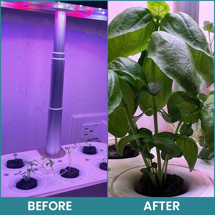LIMETOW® Hydroponic Plant Nutrient Solution