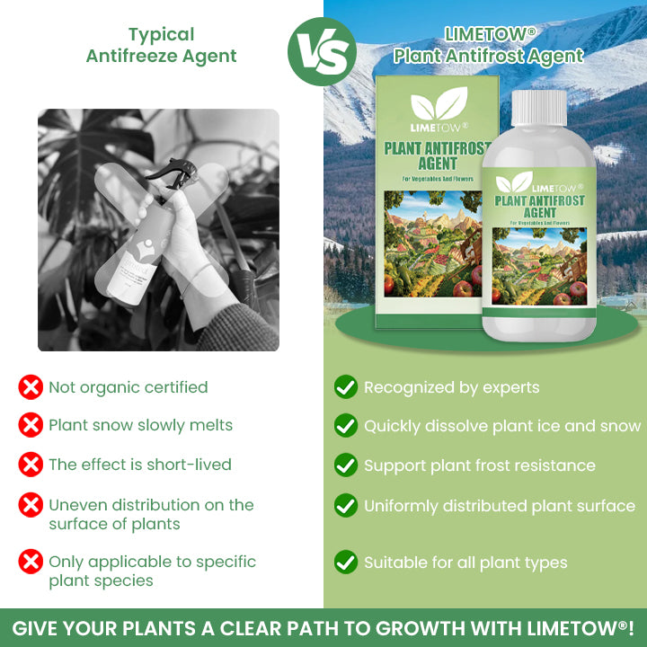 LIMETOW® Plant Antifrost Agent – The Only Frost Protection That Works Inside the Plant