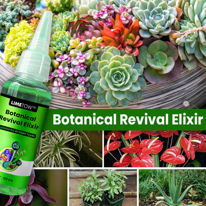 LIMETOW™ Botanical Revival Elixir