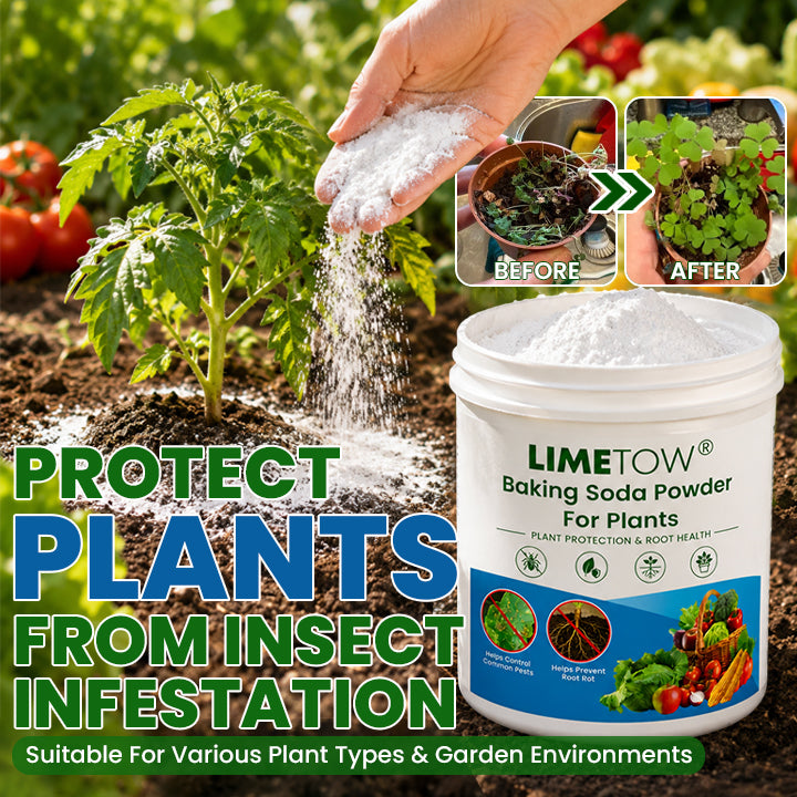 LIMETOW® Baking Soda Powder for Plants