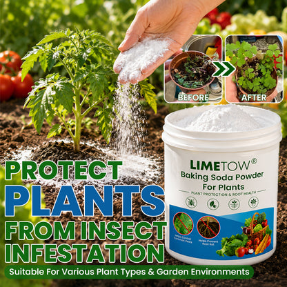 LIMETOW® Baking Soda Powder for Plants