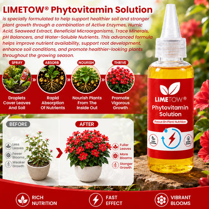 LIMETOW® Phytovitamin Solution