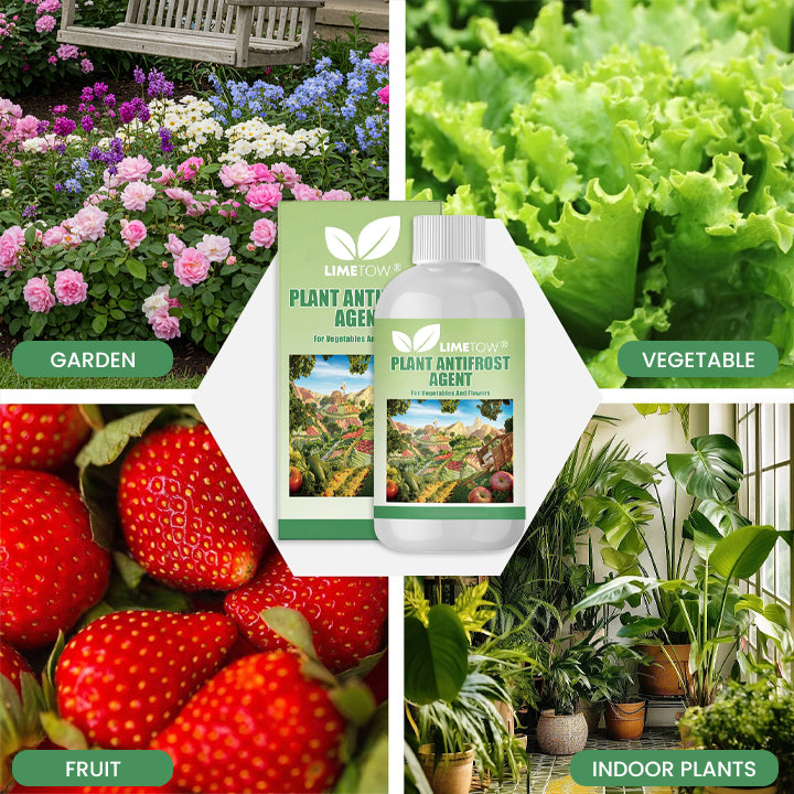 LIMETOW® Plant Antifrost Agent – The Only Frost Protection That Works Inside the Plant