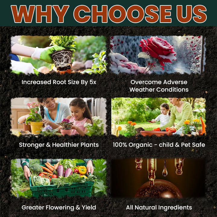 LIMETOW® Root Drops