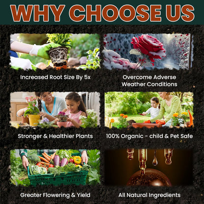 LIMETOW® Root Drops