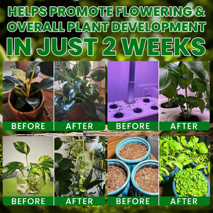 LIMETOW® Plant Nutrient Beads