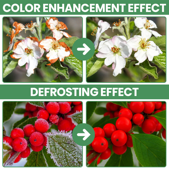 LIMETOW® Plant Antifrost Agent – The Only Frost Protection That Works Inside the Plant