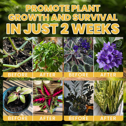 LIMETOW® Plant Vitality Booster