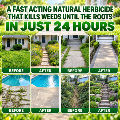 LIMETOW® Instant Weed & Lawn Control Spray