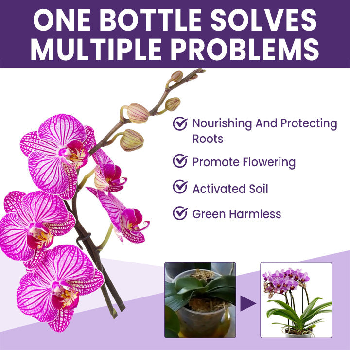 LIMETOW™ Orchid Plus Bloom Booster