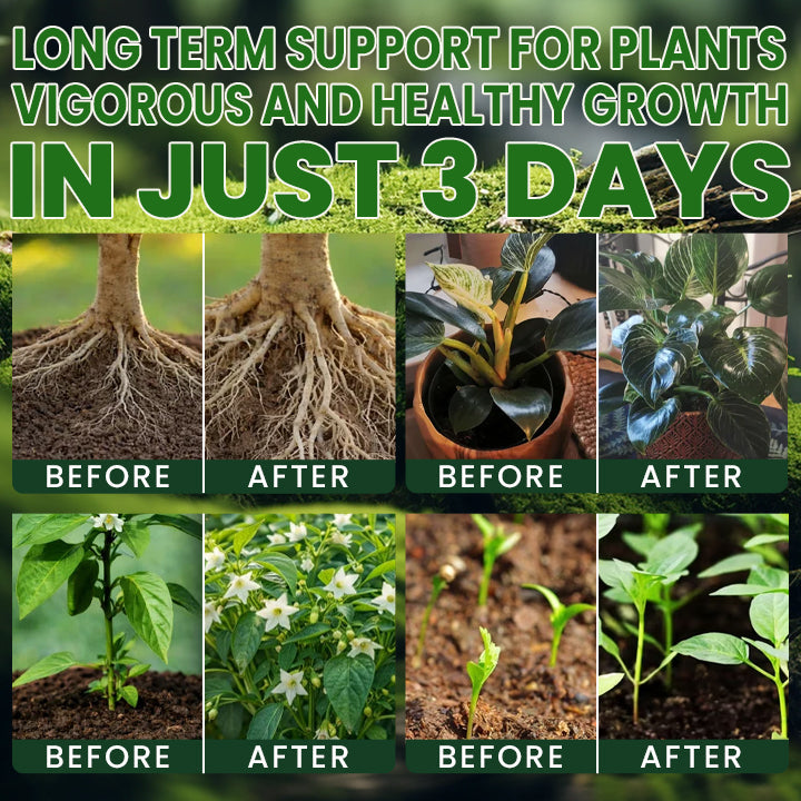 Official US Store  LIMETOW®  Supplement Powder for Rapid Root Growth and Strong Seedlings