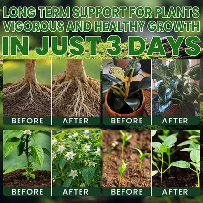 Official US Store  LIMETOW®  Supplement Powder for Rapid Root Growth and Strong Seedlings