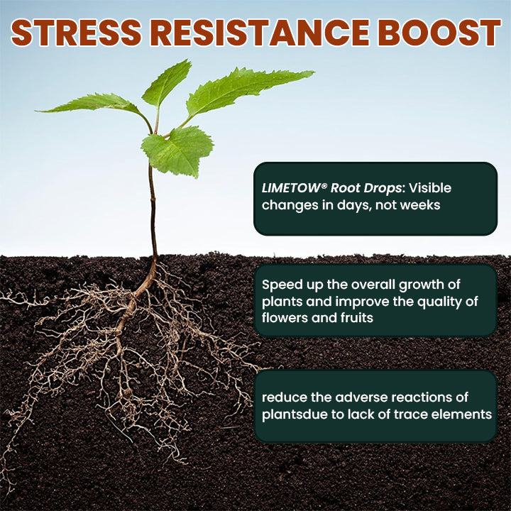 LIMETOW® Root Drops
