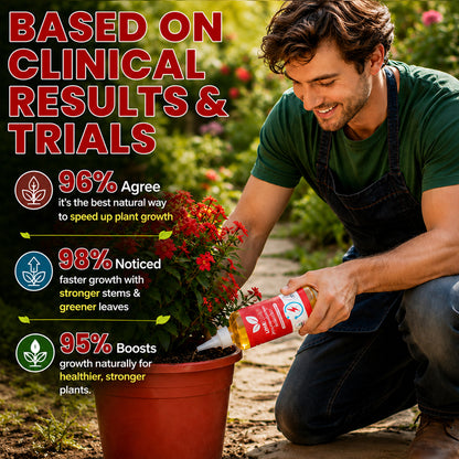 LIMETOW® Phytovitamin Solution