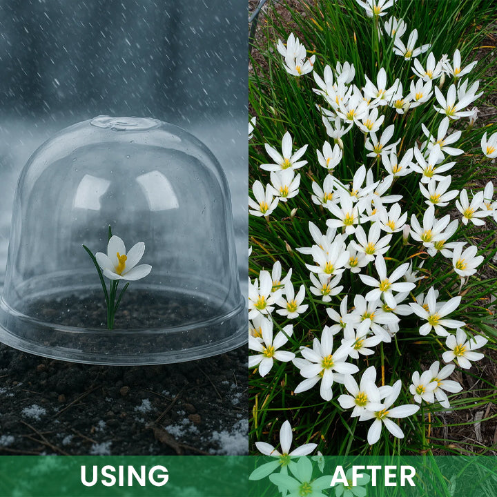 LIMETOW® Garden Seedling Cold Cover