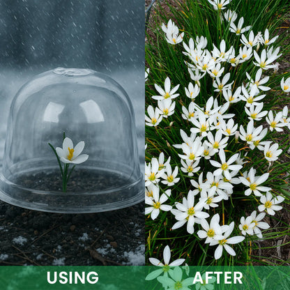 LIMETOW® Garden Seedling Cold Cover