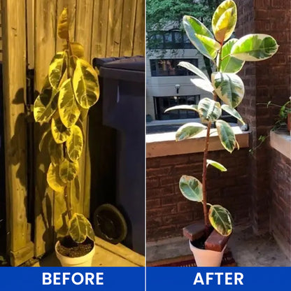 LIMETOW® Plant Bender Training Clips