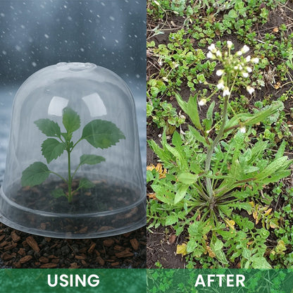 LIMETOW® Garden Seedling Cold Cover