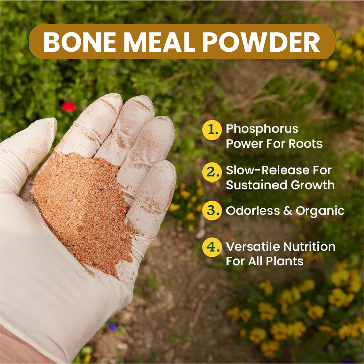 LIMETOW™ Bone Meal Powder